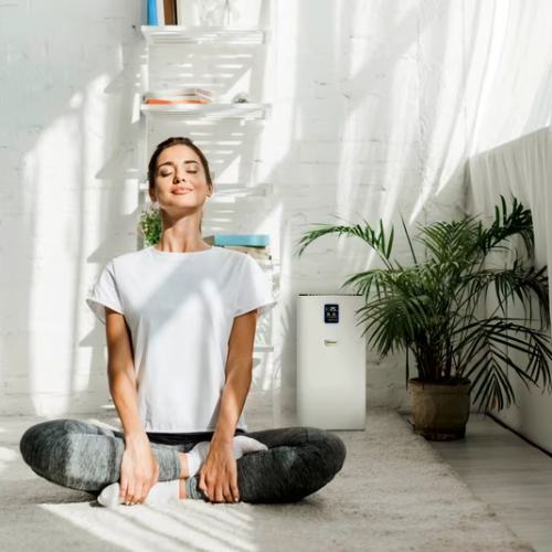 Karcher AF 30 Air Purifier Egypt