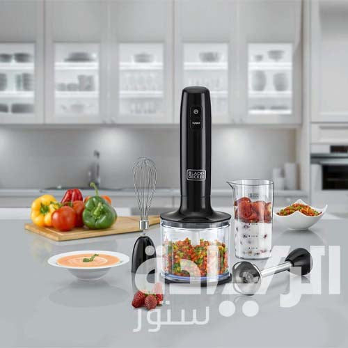 مضرب بايركس 3×1 من بلاك اند ديكر - وعاء 600 مل - موديل - HB600