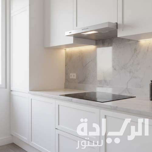 بيست اير شفاط مطبخ مسطح - 80 سم - قوة لشفط 650 م/س - 2 ماتور FIME إيطالي - موديل - WAVE 80CM INOX
